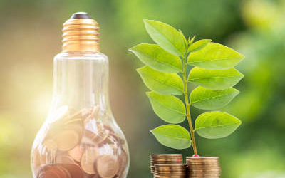 How to Manage a Greener Business