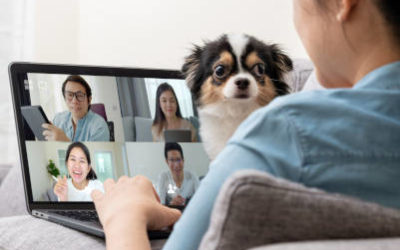 Tip of the Week: Better Video Conferencing for Better Meetings