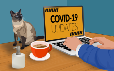 COVID-19 Update – Mandatory Business Closures